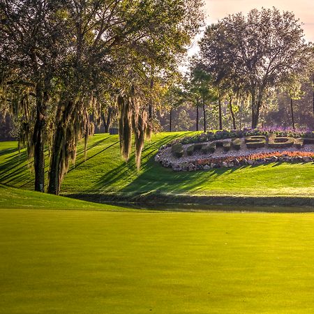Innisbrook Resort Палм Харбър Екстериор снимка