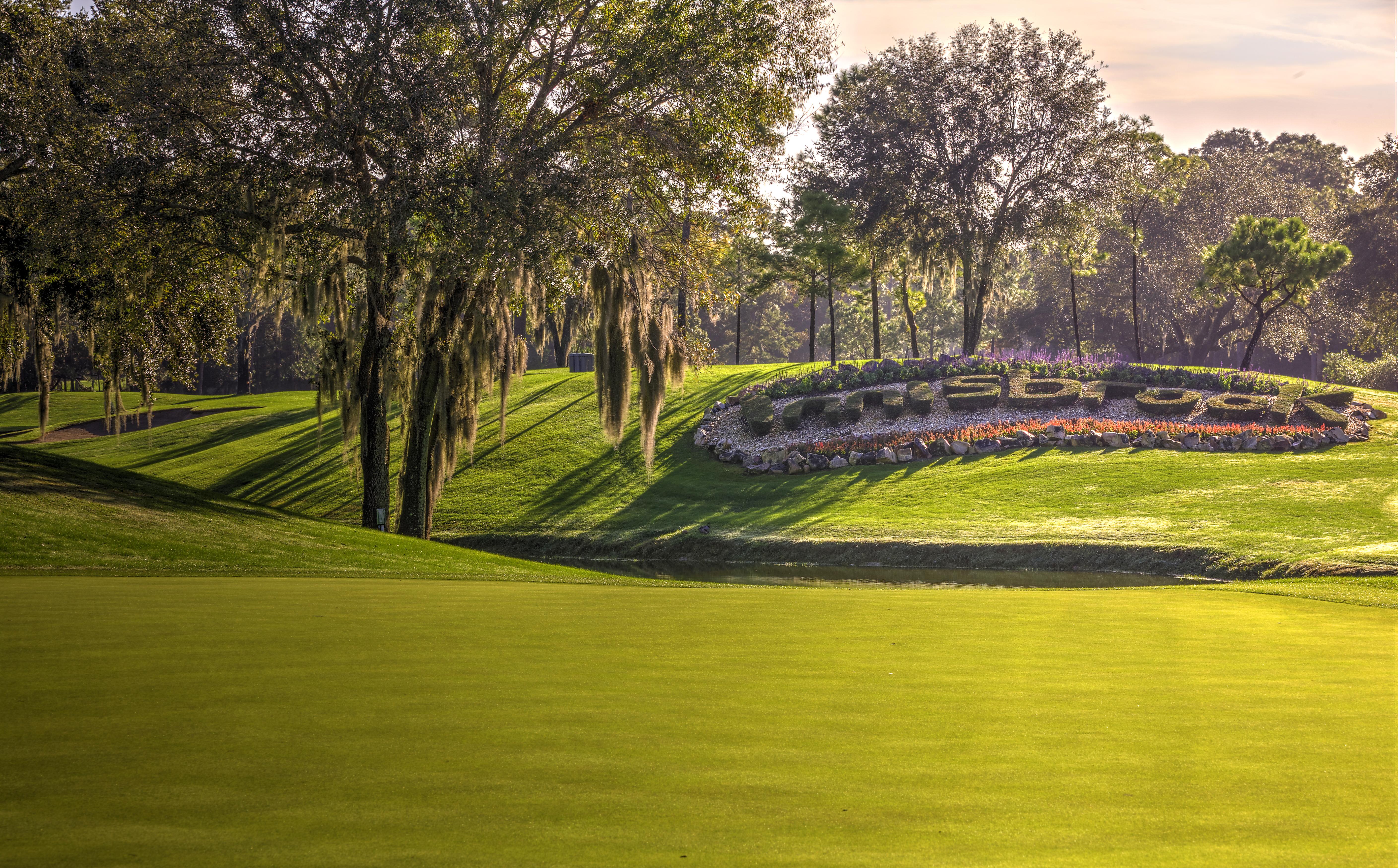 Innisbrook Resort Палм Харбър Екстериор снимка